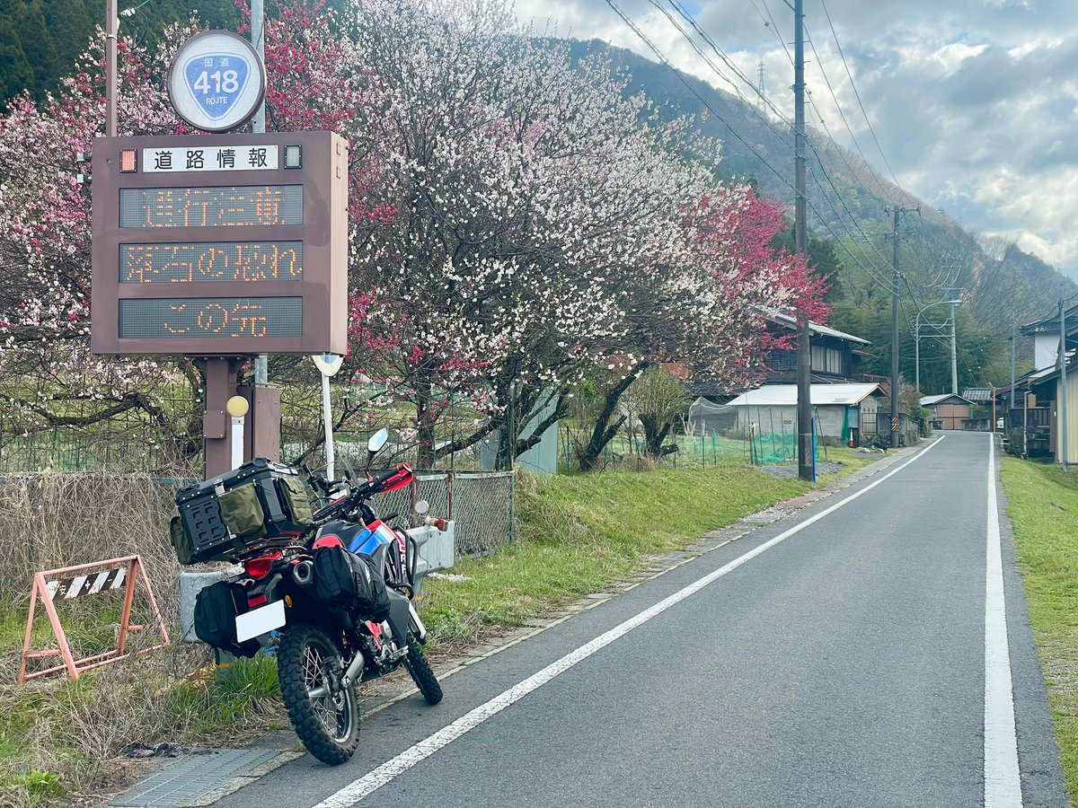 Seras@FF14(SEEKERのフロントバンパーの人) tweet media