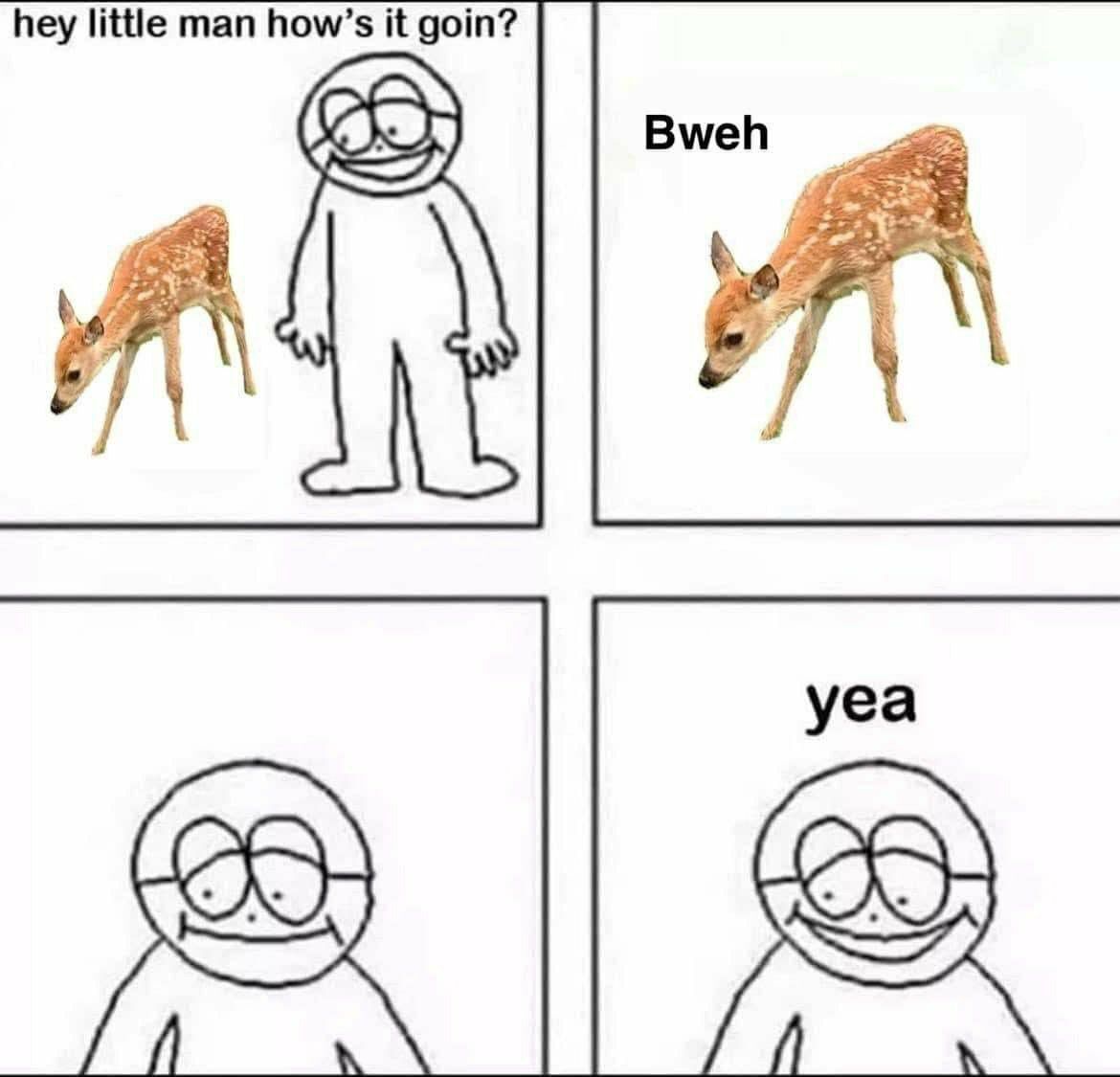 (POLL IN PINNED) Deer in Places they Shouldn't Be tweet media