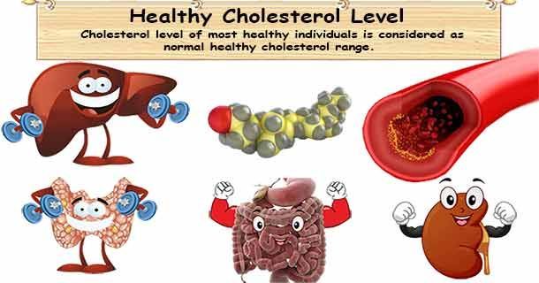 healthyojas's tweet image. Normal healthy cholesterol range buff.ly/iBiaAiD #healthy #cholesterol