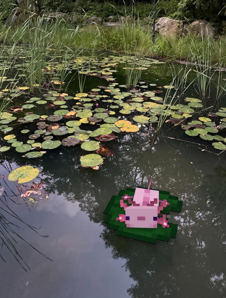 Enderman tweet media