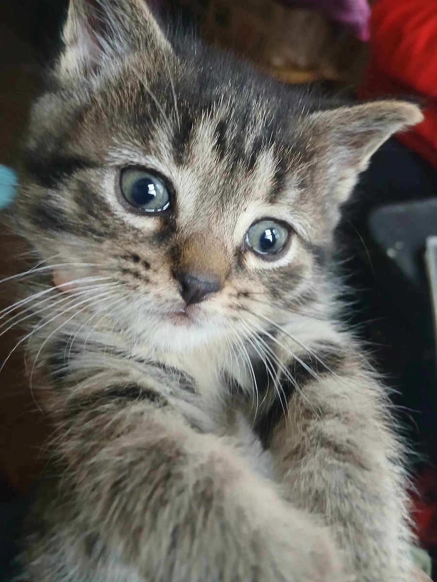 🔞SarsaparillaCreme🔞 tweet media