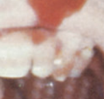 Zac 🍒 Compact Disc HQ tweet media