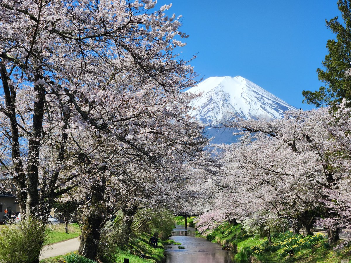 OKうえだ tweet media