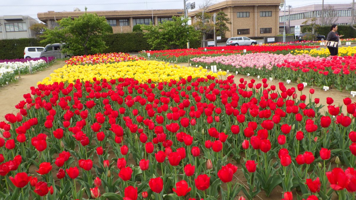 島田建設株式会社 tweet media