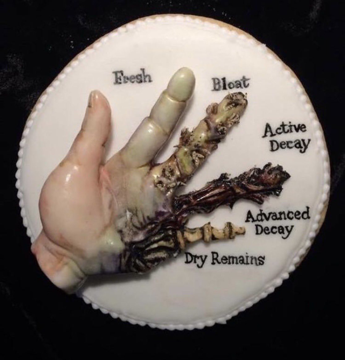 𝑙𝑖𝑡𝑡𝑙𝑒 𝑚𝑜𝑜𝑛 ⏾ tweet media