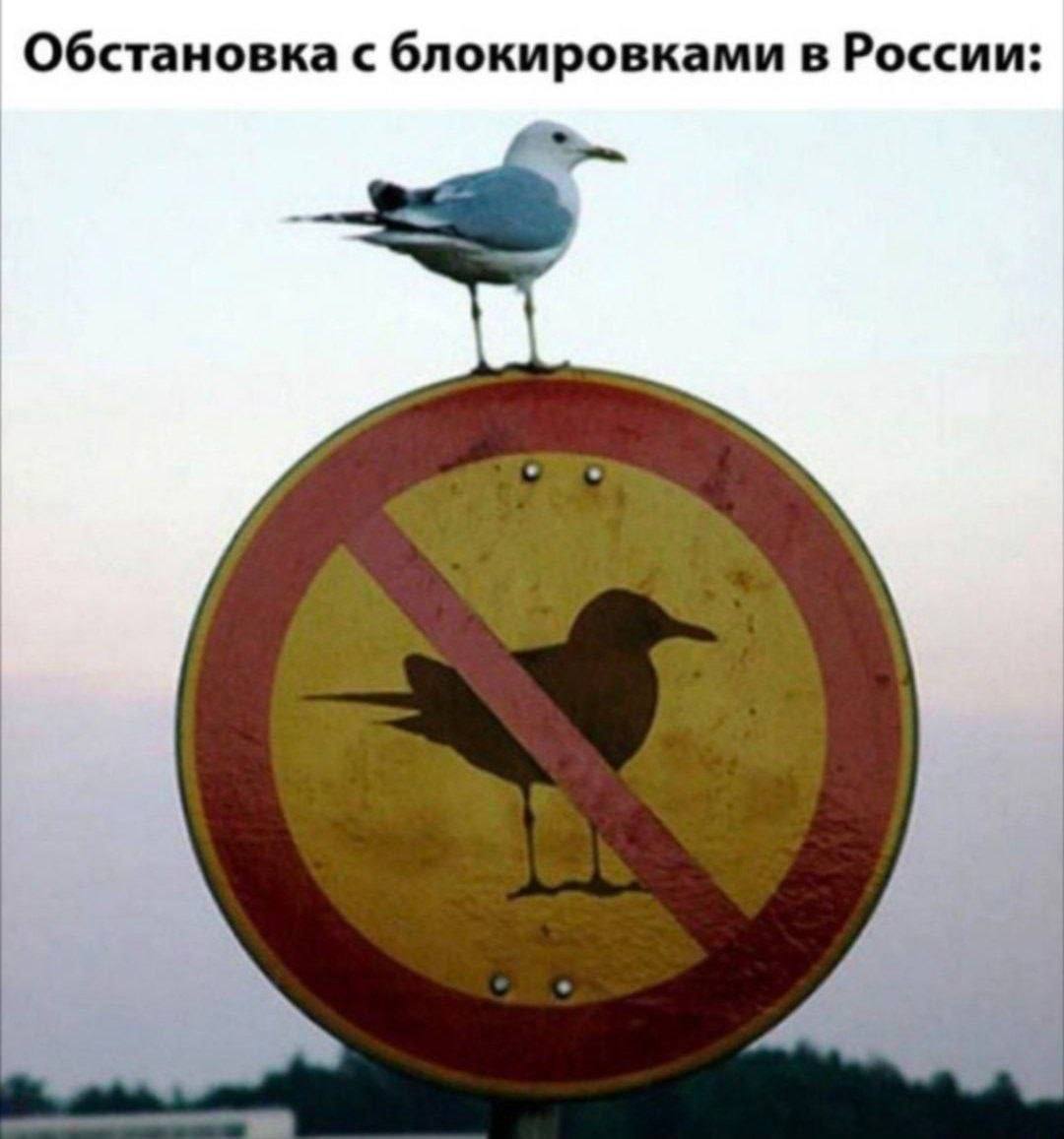 _Эквивалент мысли_ tweet media