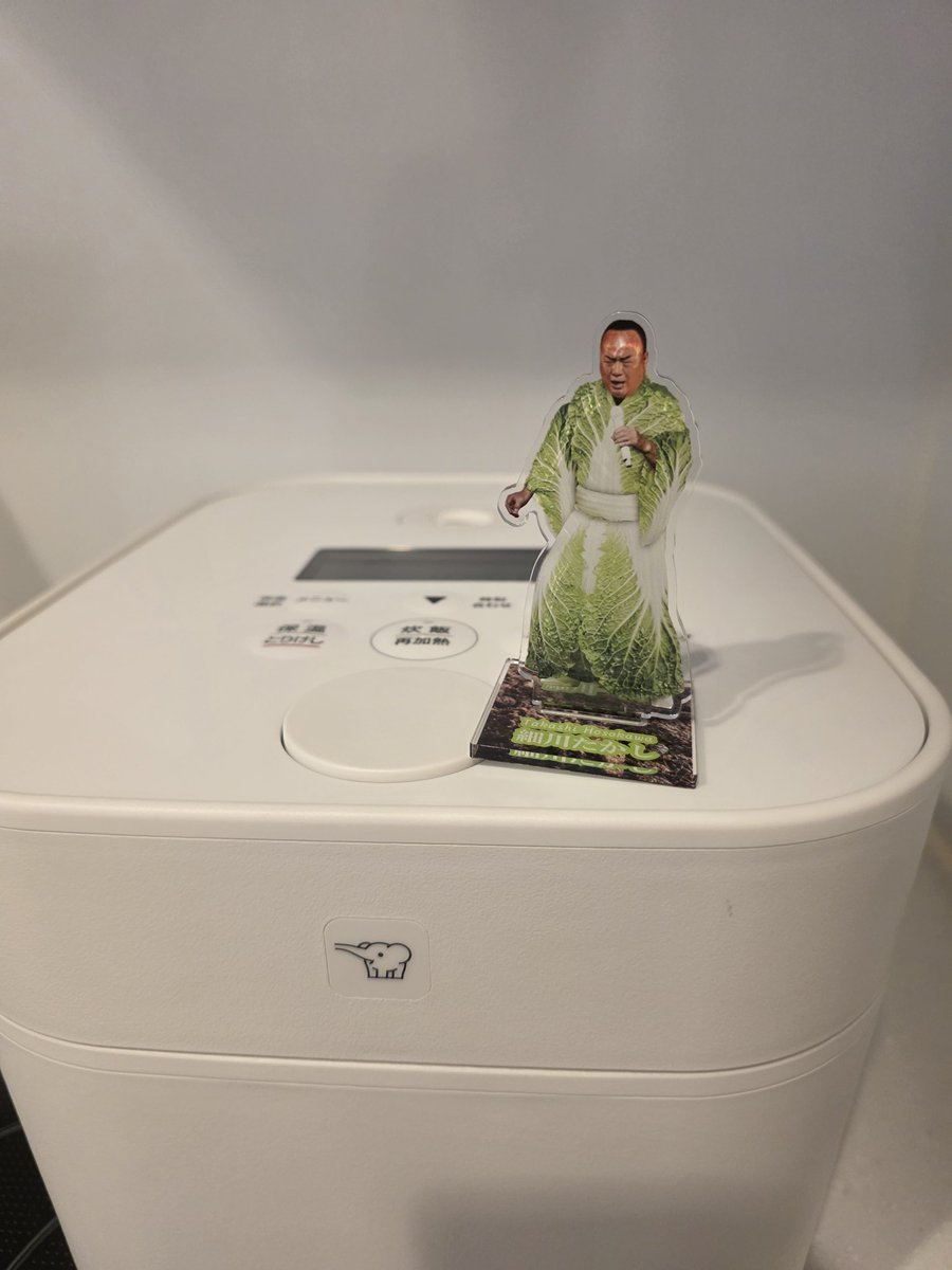 しなこ🥟 tweet media