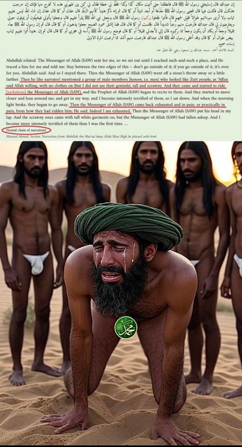 LogicInTrinity tweet media