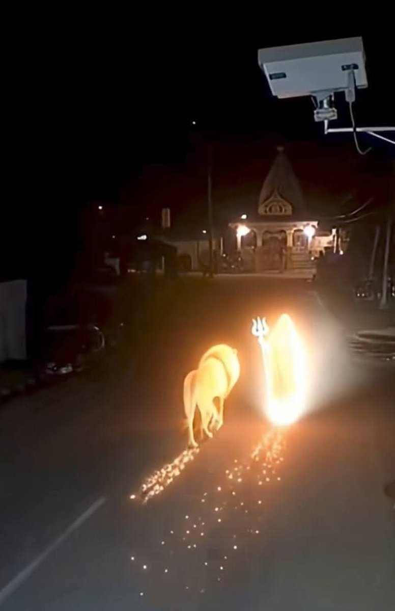 कविता भारतीय 🇮🇳 एस्ट्रोलोजर tweet media