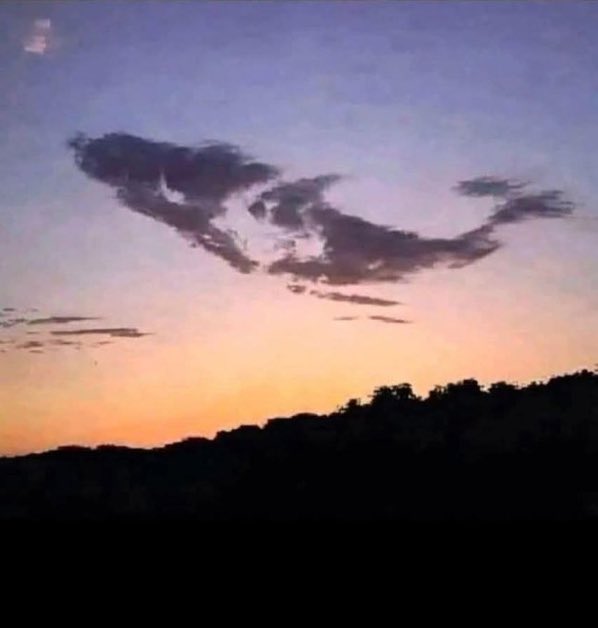 ピ口（Piro） tweet media