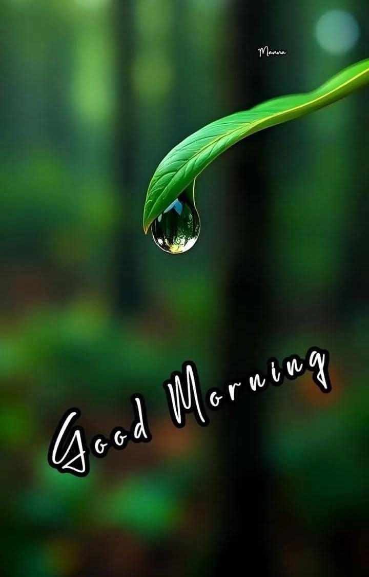 Dr. (Mrs) D L Reddy DPhil. tweet media