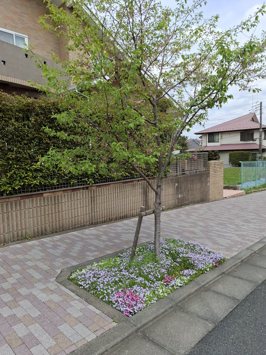 六穴縦笛「之 人 tweet media