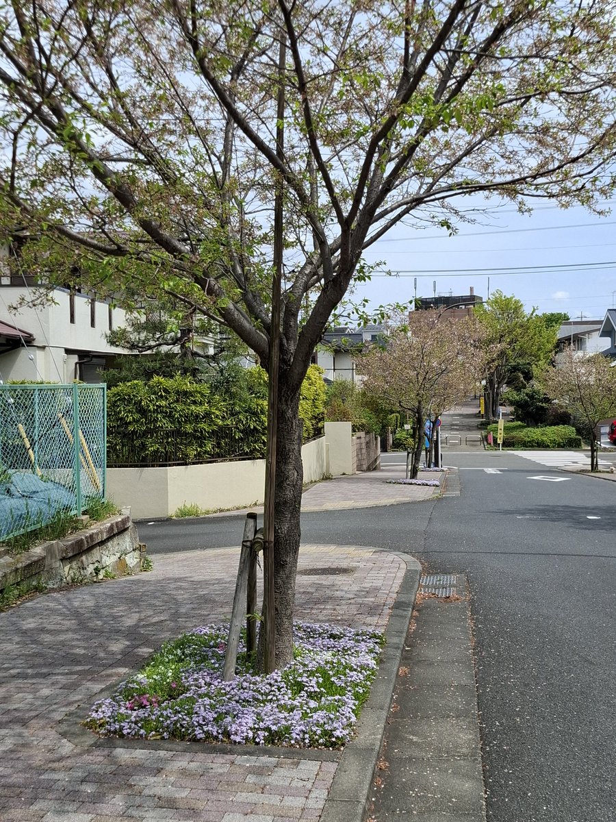 六穴縦笛「之 人 tweet media