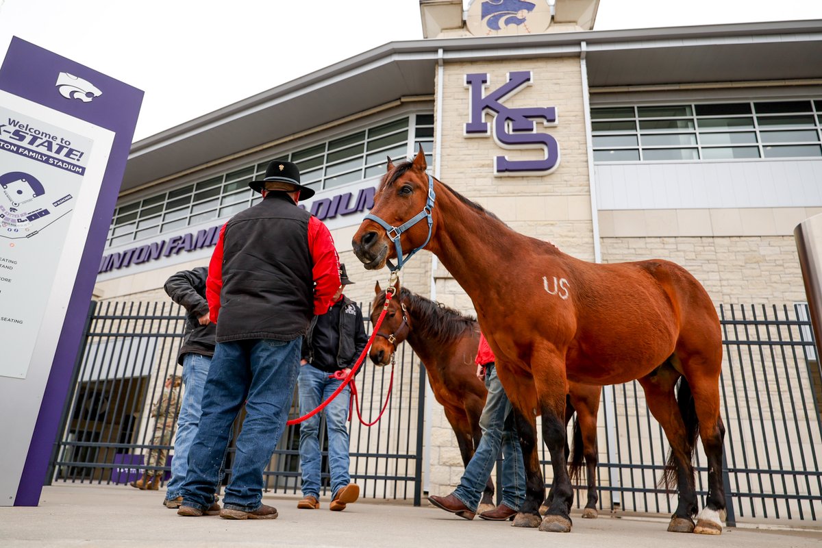 K-State Athletics tweet media