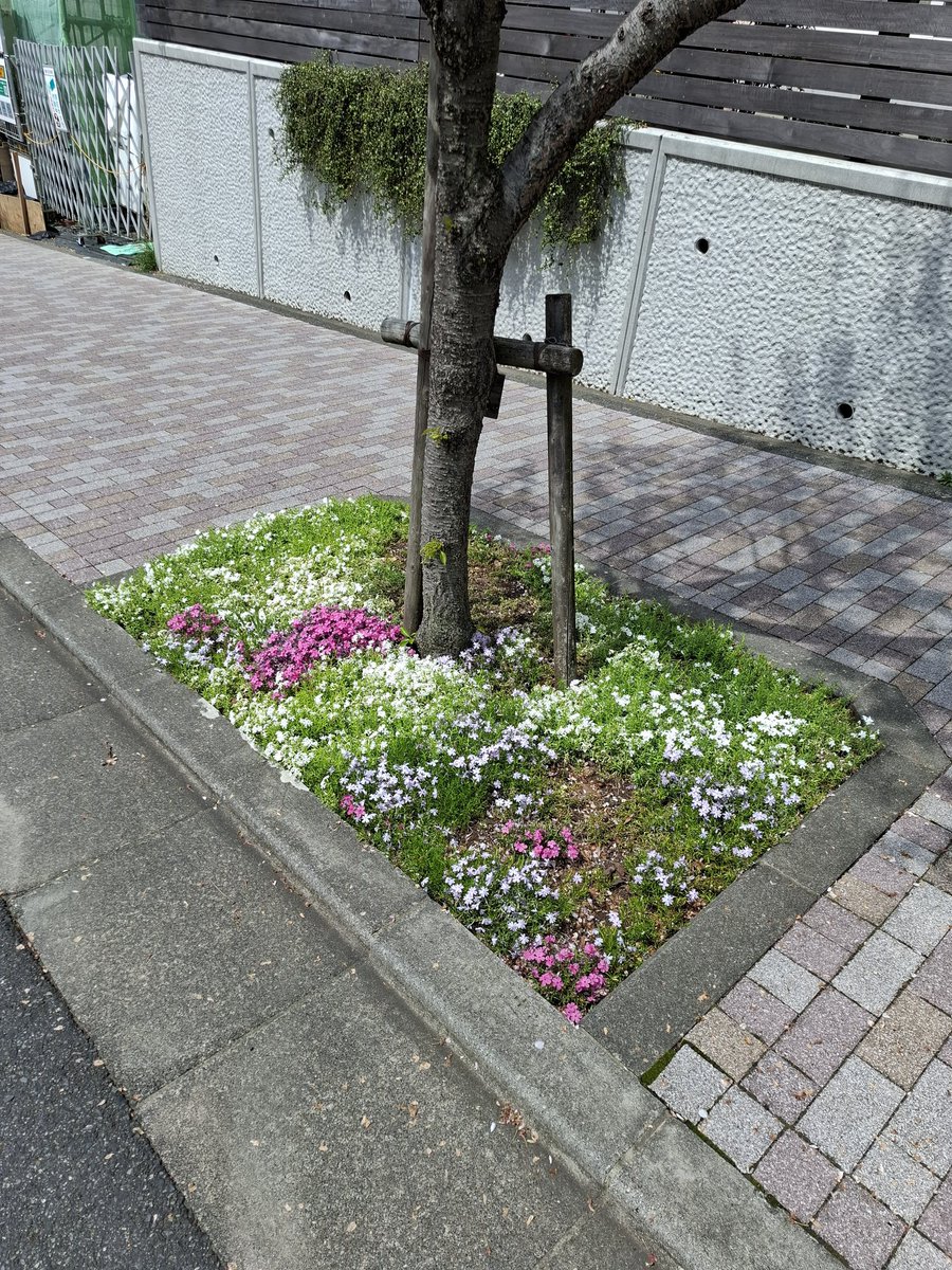 六穴縦笛「之 人 tweet media