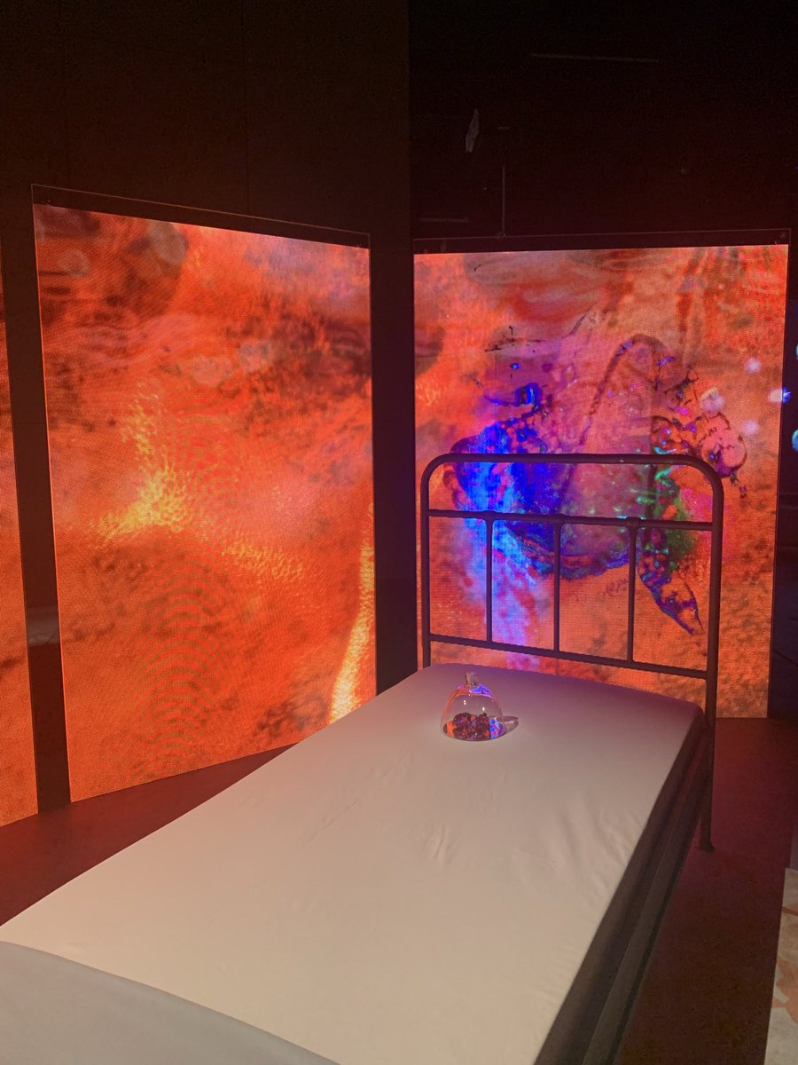 د.ندى الرميح tweet media