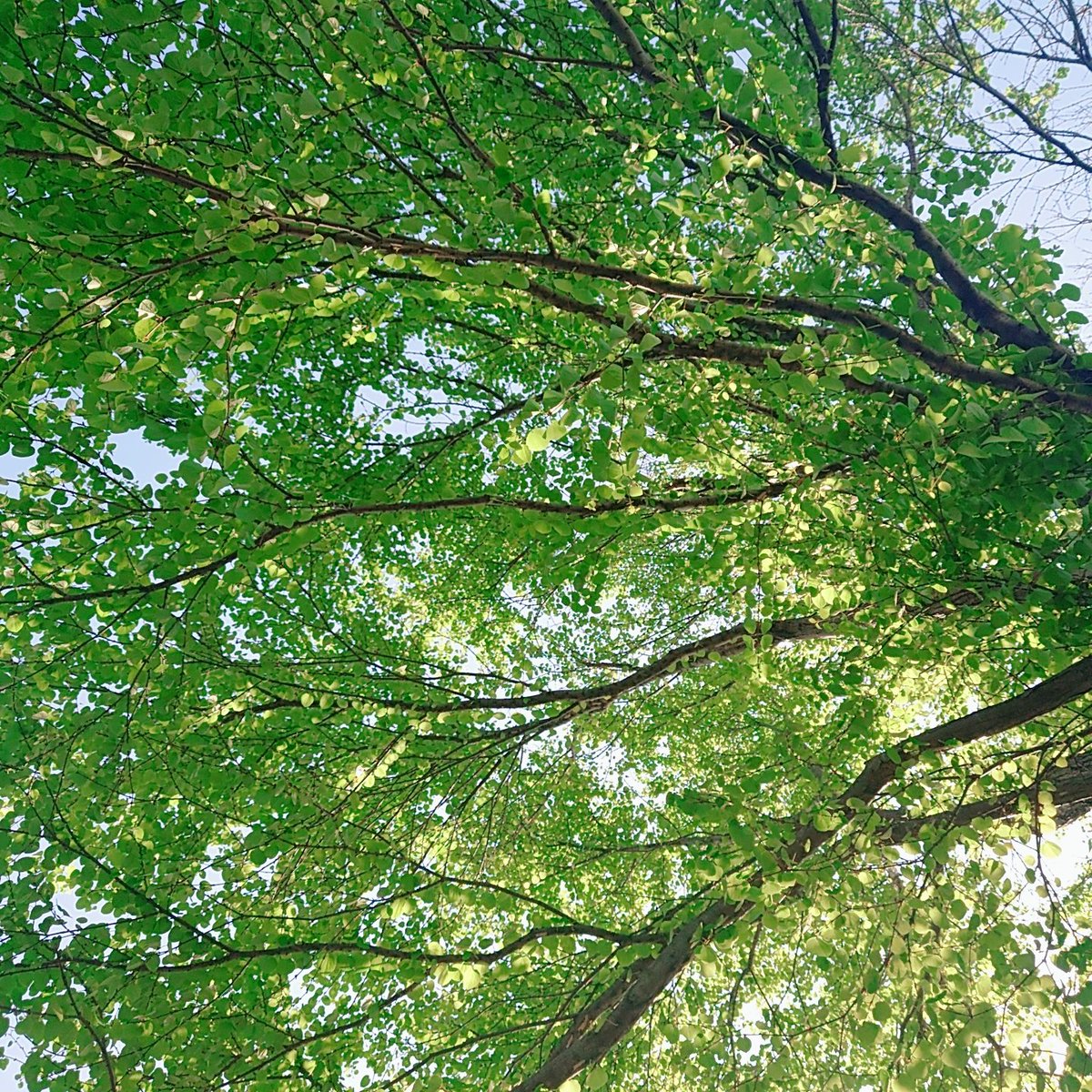 🟢🟡Rui【ジェフサポ】🔴🟡🟢 tweet media