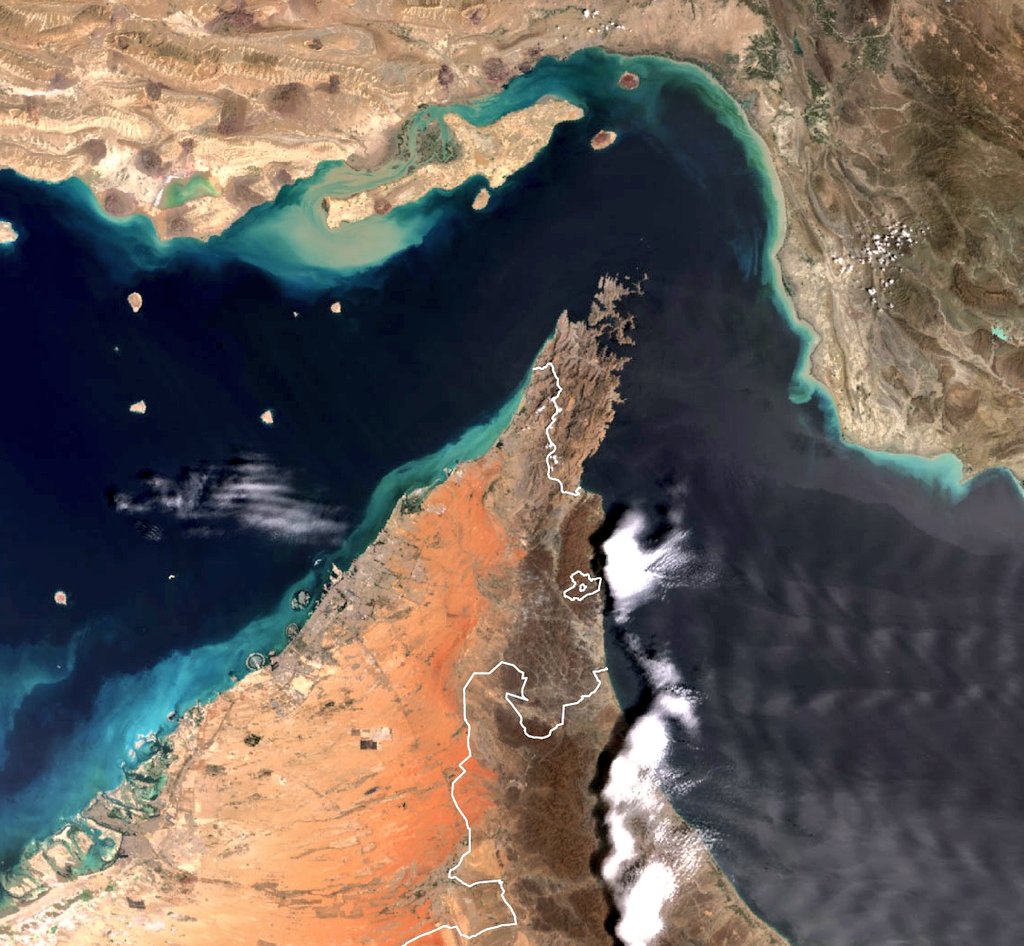 Current Report tweet media