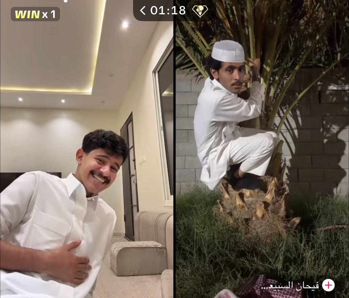 الملكا شَهد tweet media
