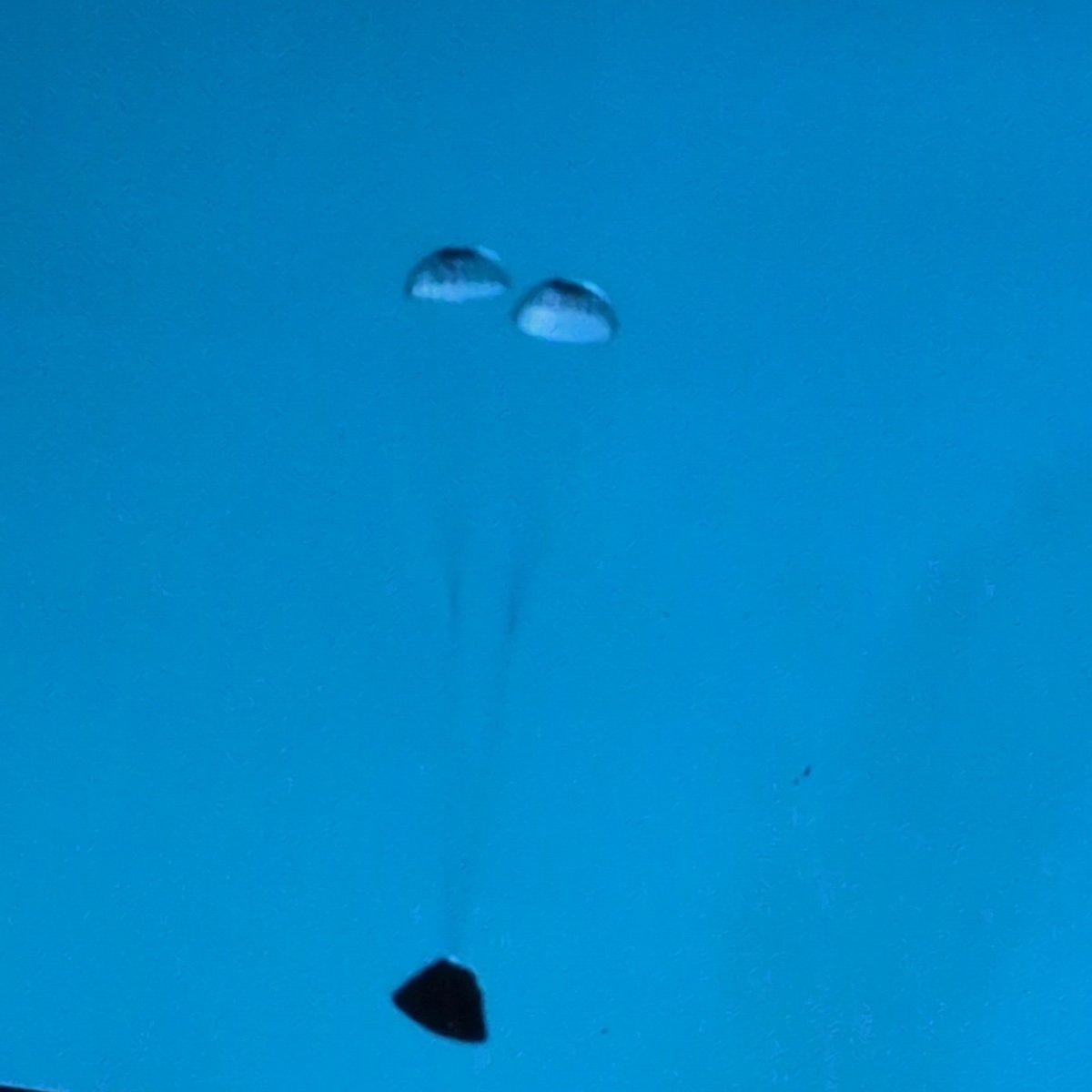 Elixir (@jesuiselixir) on Twitter photo 