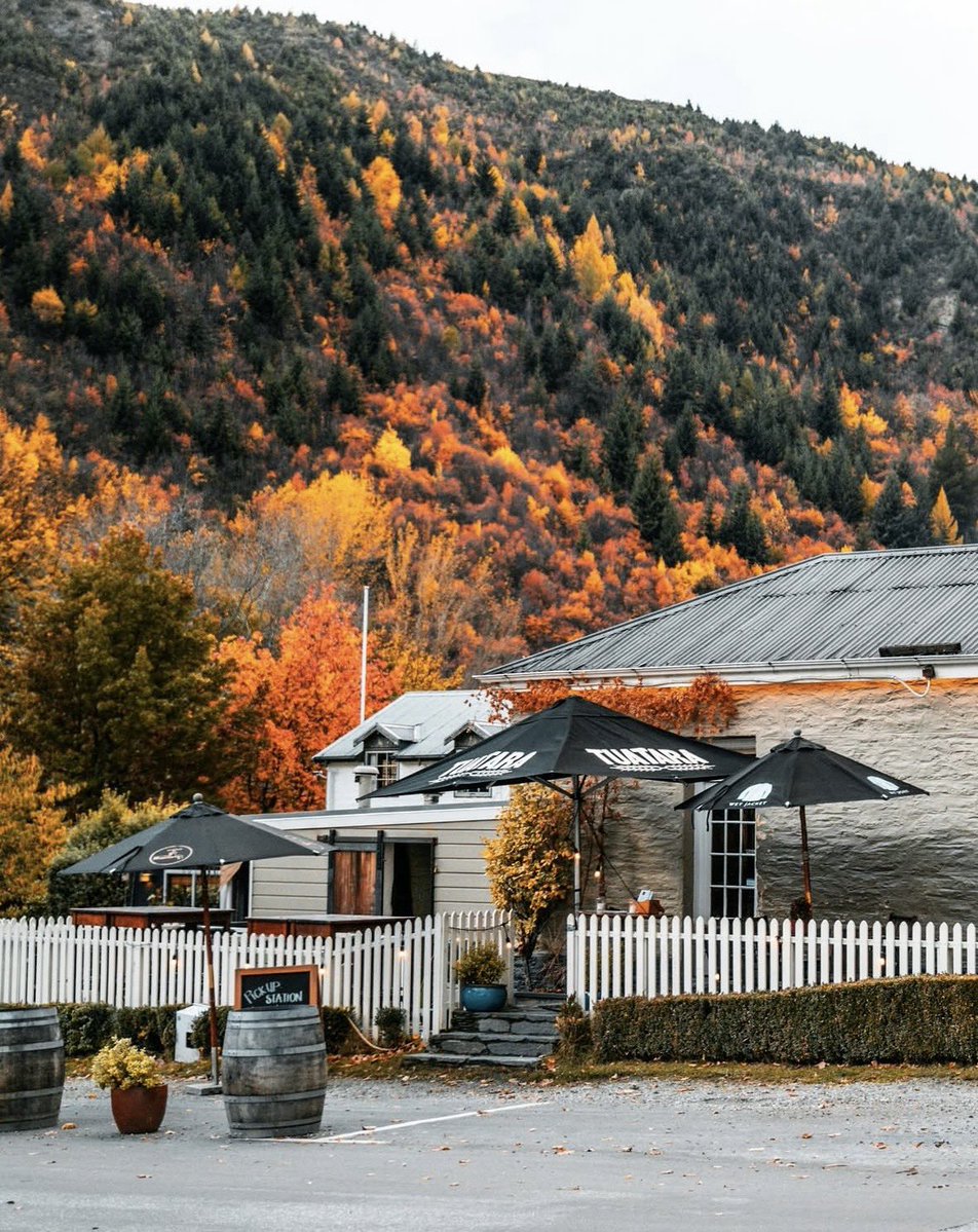 Jaylene🐰 tweet media