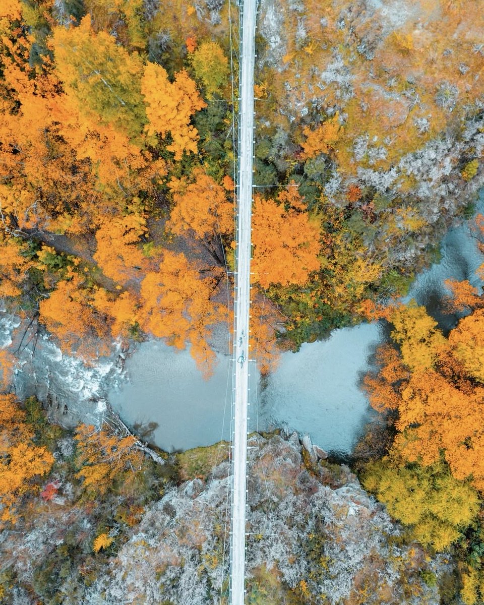 Jaylene🐰 tweet media