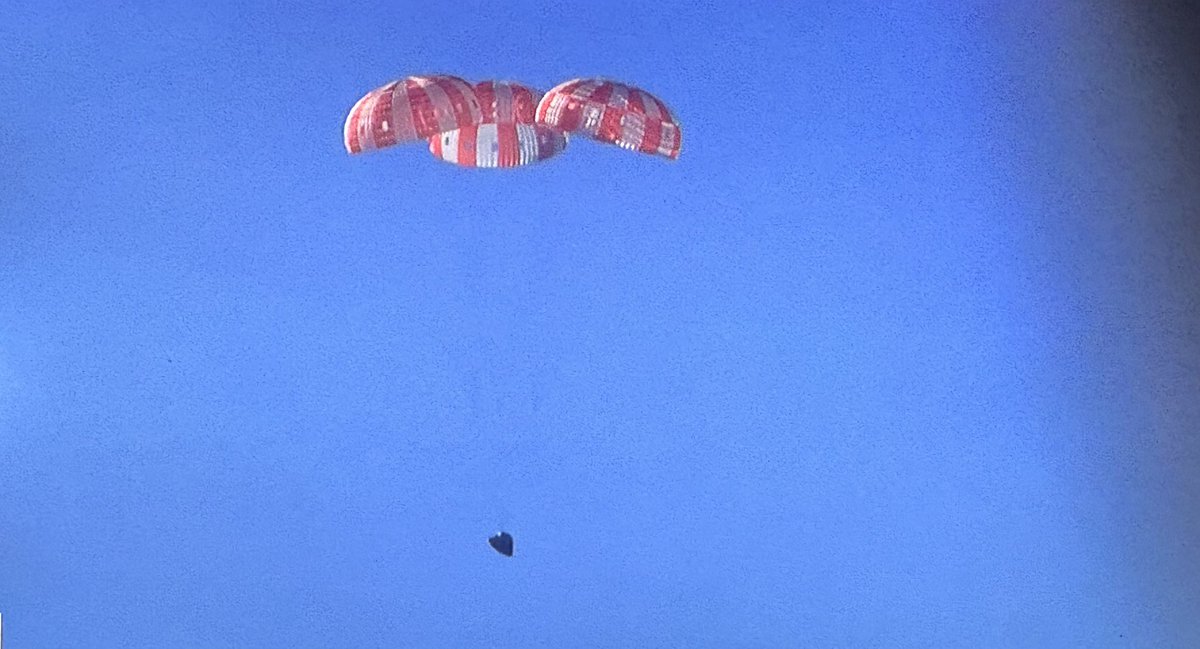 ZitoSalena tweet media