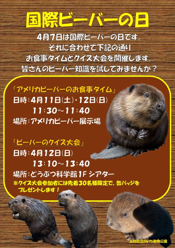 高知県立のいち動物公園【公式】 tweet media
