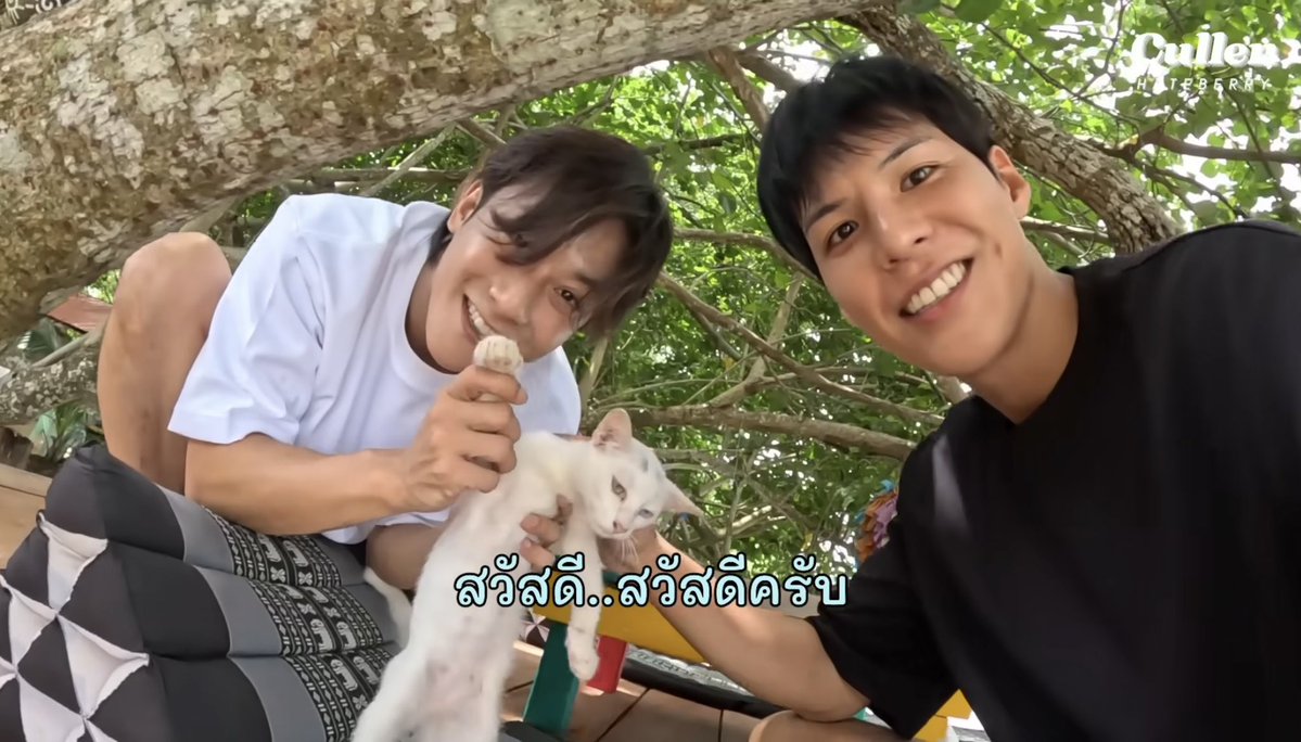 สาวเครือฟ้า_อุ่นเรือน_kt_🩷🩵 💛 정 경태 tweet media