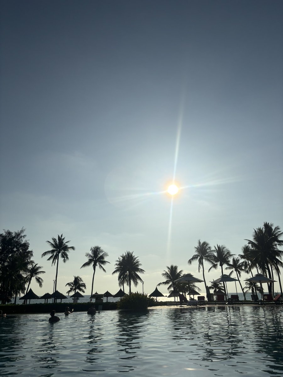 🍑🐸🦌🥫専業配達員🛵💨🐥 tweet media