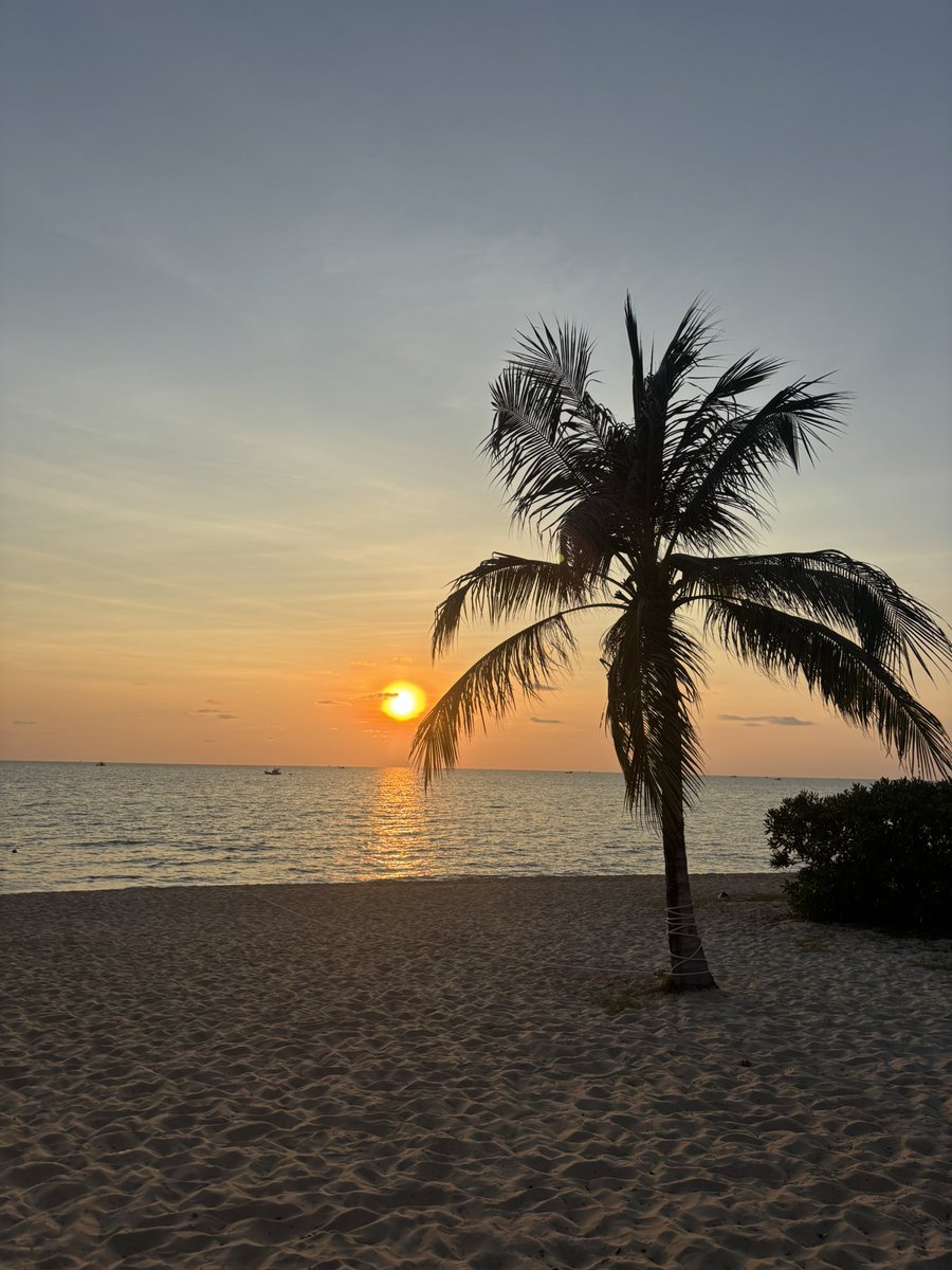 🍑🐸🦌🥫専業配達員🛵💨🐥 tweet media