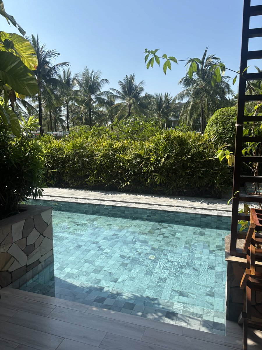 🍑🐸🦌🥫専業配達員🛵💨🐥 tweet media