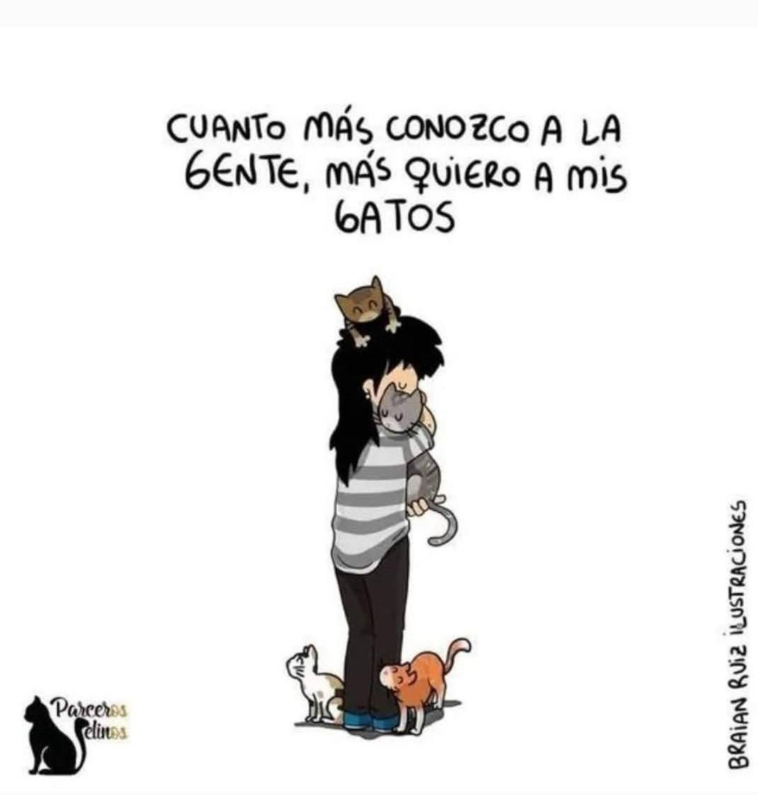 Majin 44 %🍉 tweet media