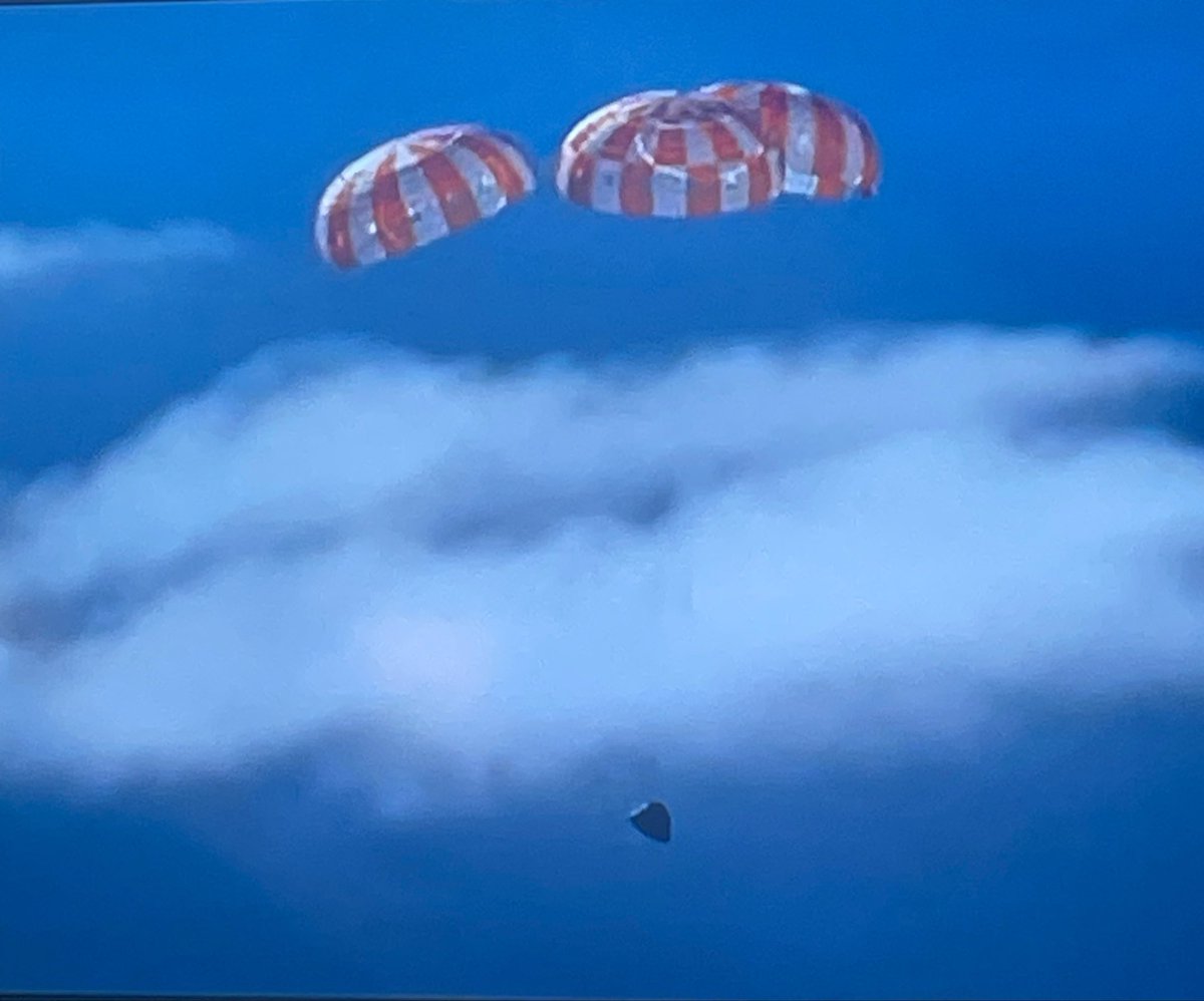 Elise 🍢⭒ tweet media