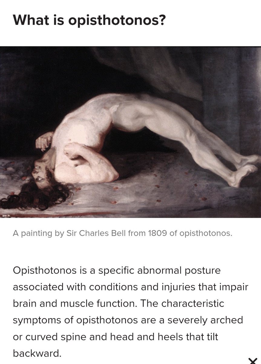 Ladrón de sábado tweet media