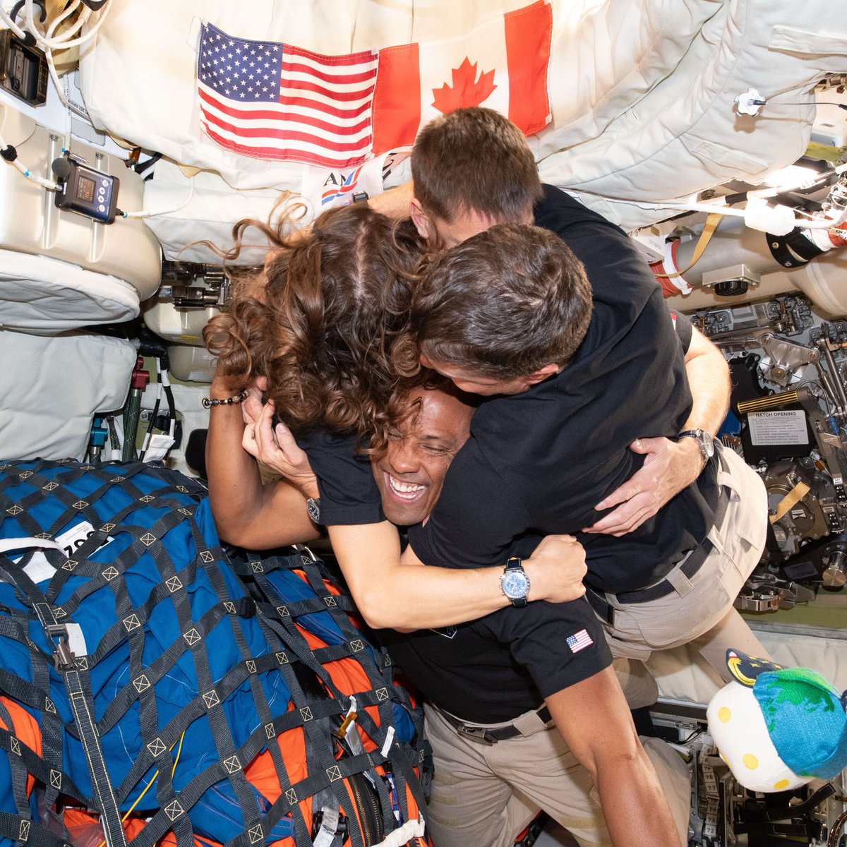 project hail dado ⚢ tweet media