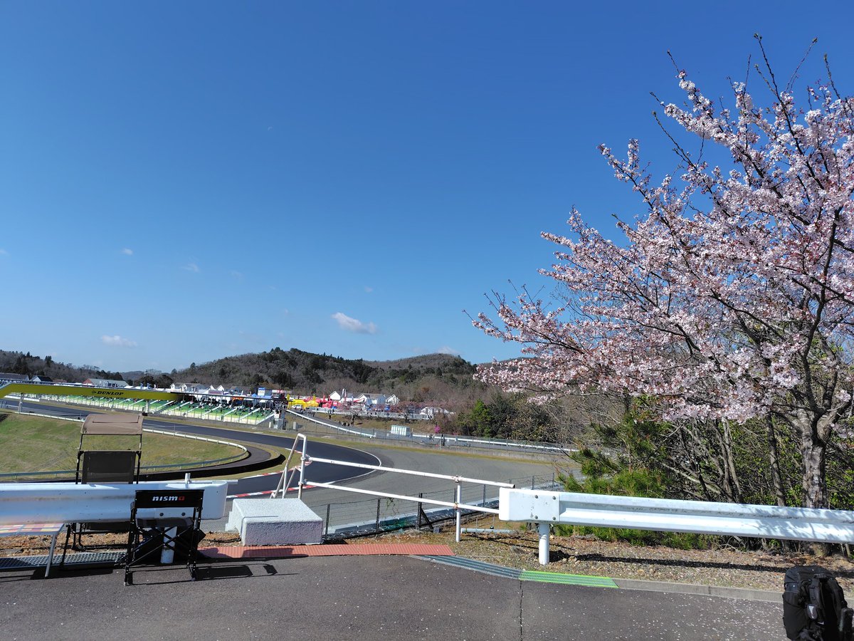 コウイチ🐸 tweet media