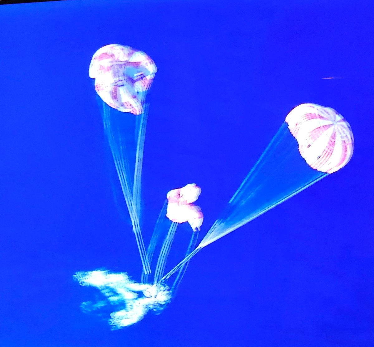 Lois Weiss tweet media