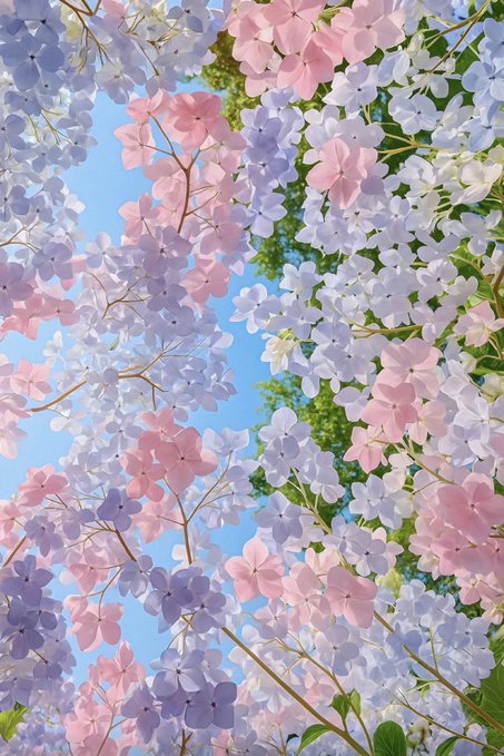 Fede Huidobro tweet media