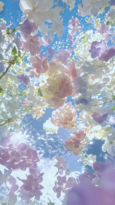 Fede Huidobro tweet media