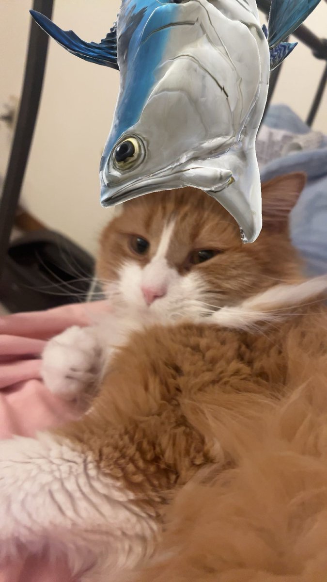 ꒰ྀི১shaylee໒꒱ིྀ tweet media