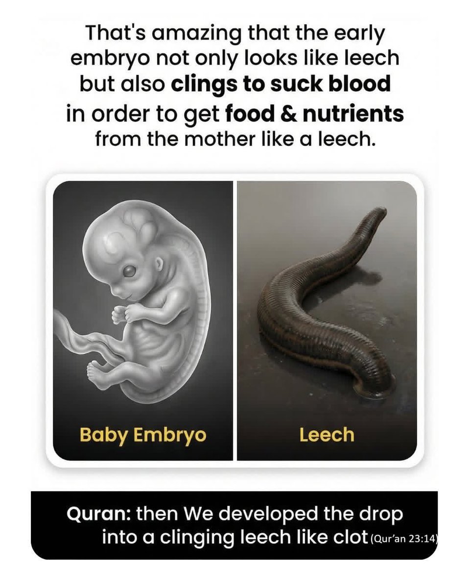 Ryttarinna tweet media