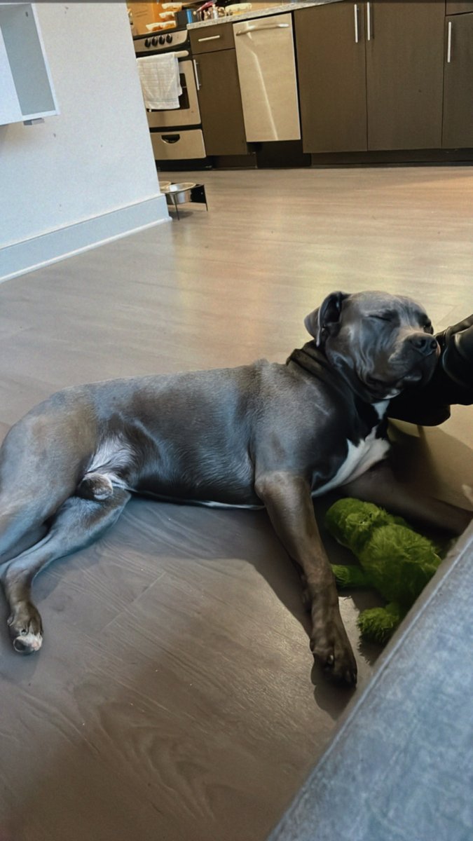 Grip Skylark 💕✨ tweet media