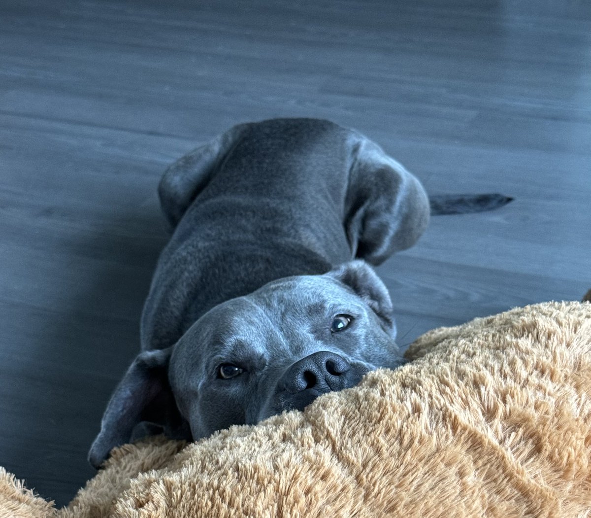 Grip Skylark 💕✨ tweet media