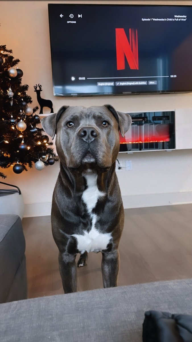 Grip Skylark 💕✨ tweet media