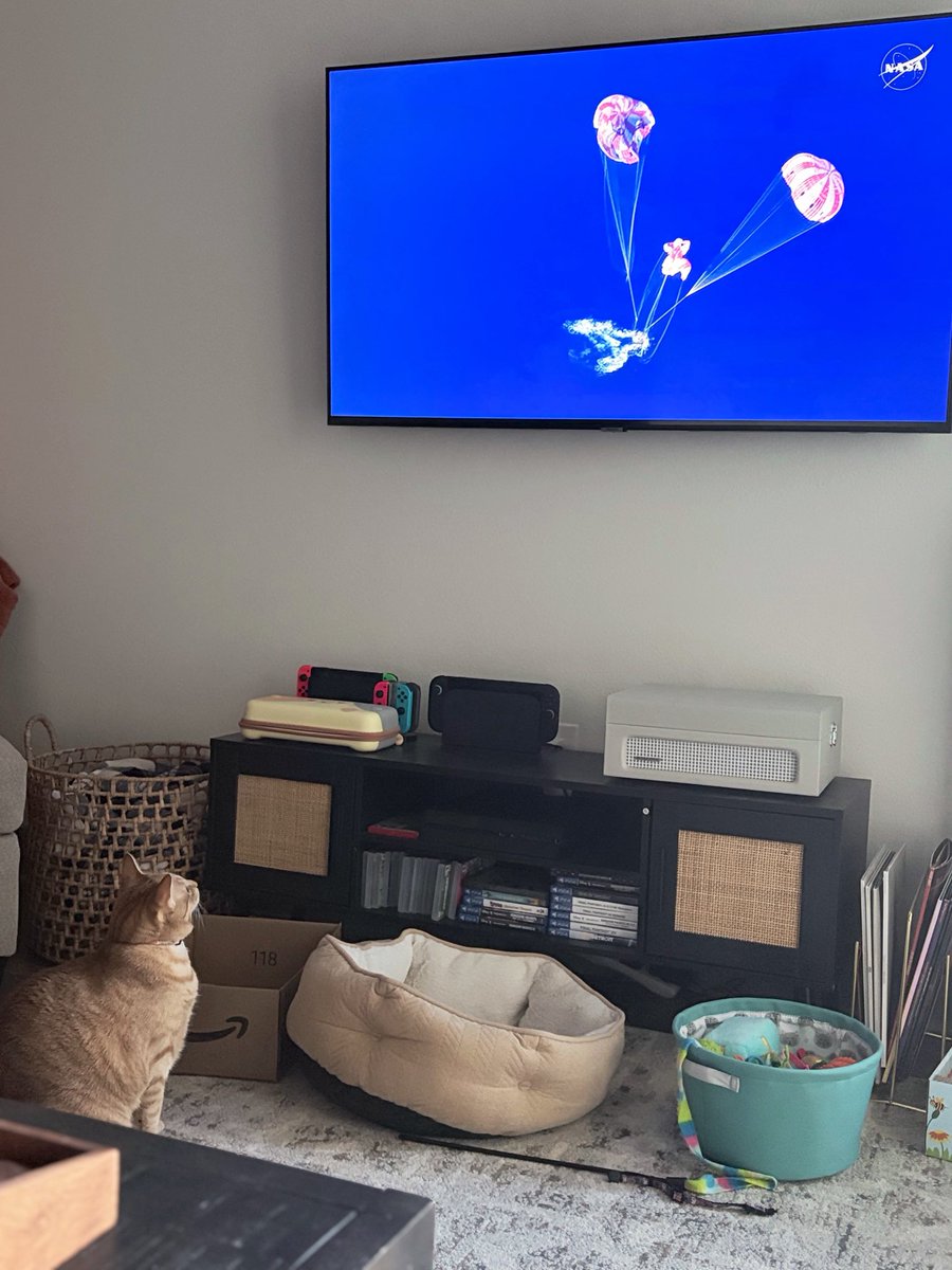 pika_chu_bolt's tweet photo. @NASA @NASAArtemis my cat Tofu wants to tell the astronauts “welcome home!!!” 🥳 https://t.co/4GIKCA1Mt3