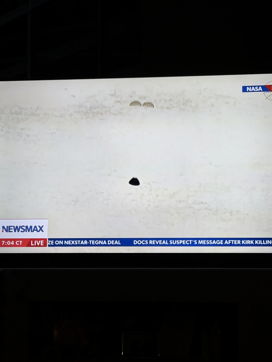 Tony Marino tweet media