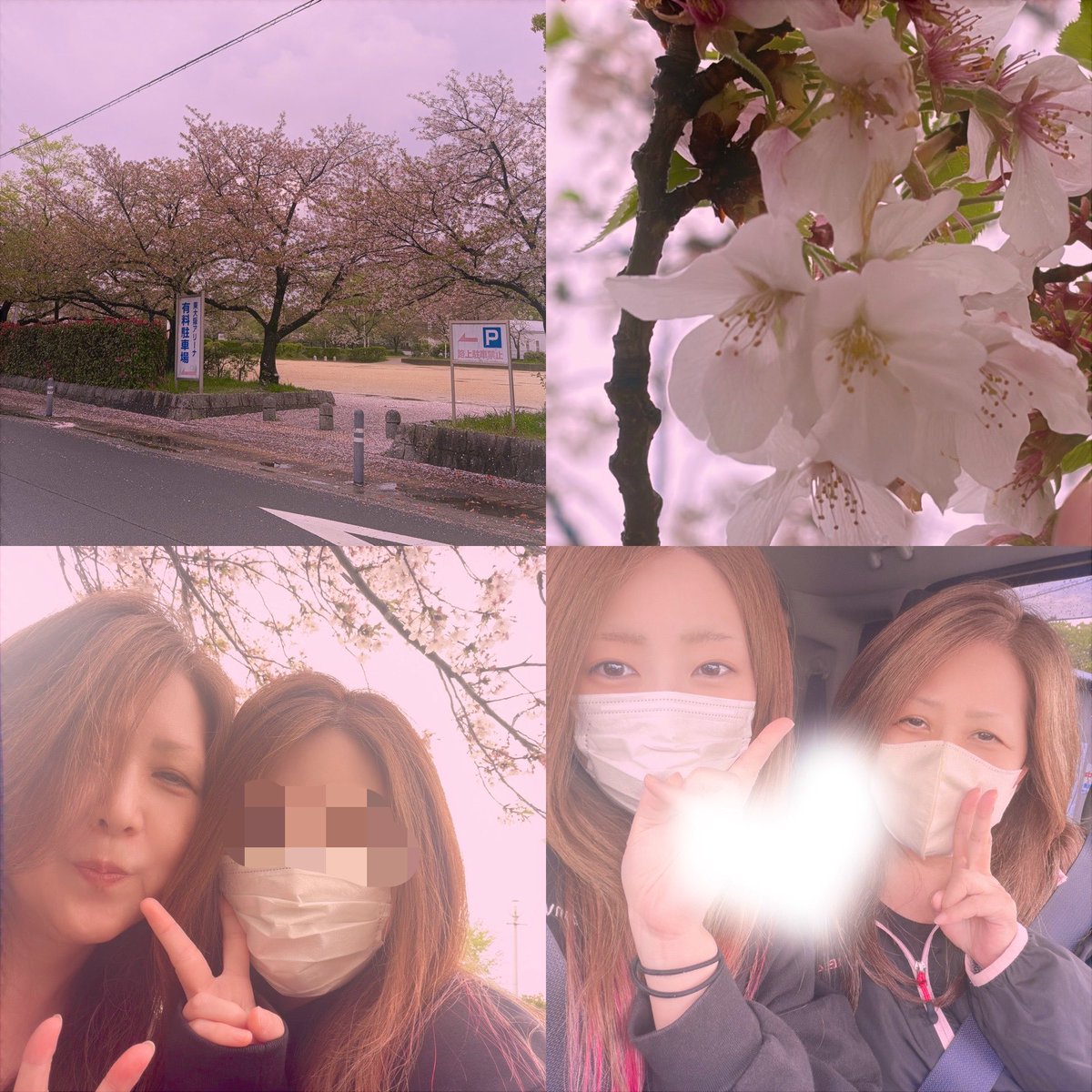 🧸ིྀみきゃ@Uber大阪 tweet media