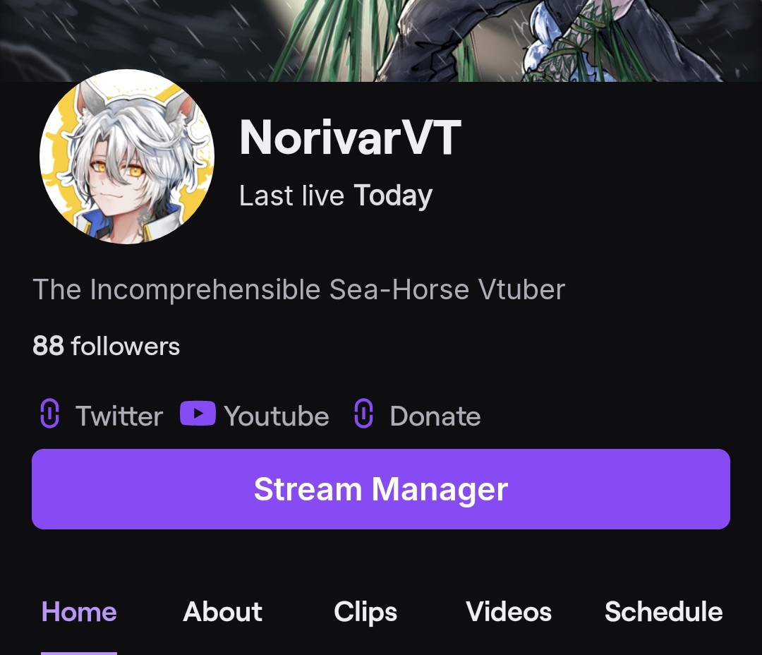 Norivar 🌊🐴 tweet media