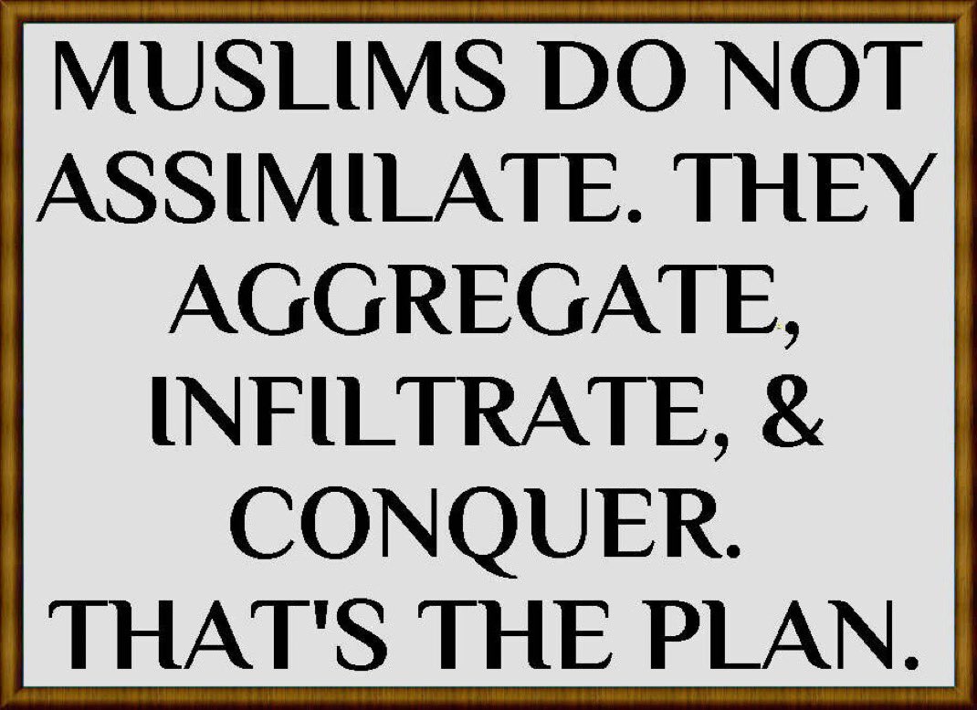 Trumplican 4eva... tweet media